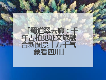 蜀道翠云廊：千年古柏见证文旅融合新图景丨万千气象看四川