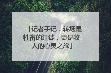记者手记：转场是牲畜的迁徙，更是牧人的心灵之旅