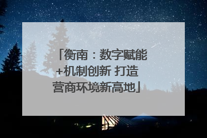 衡南：数字赋能+机制创新 打造营商环境新高地