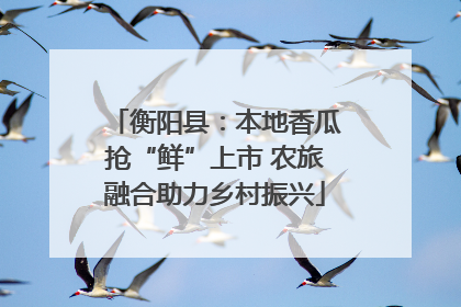衡阳县：本地香瓜抢“鲜”上市 农旅融合助力乡村振兴