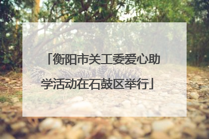 衡阳市关工委爱心助学活动在石鼓区举行