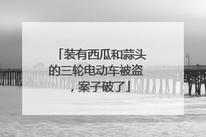 装有西瓜和蒜头的三轮电动车被盗，案子破了