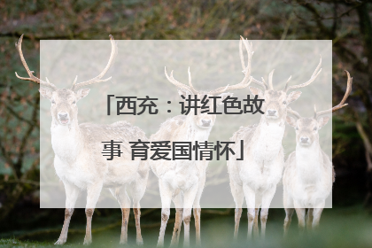 西充：讲红色故事 育爱国情怀