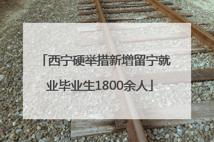 西宁硬举措新增留宁就业毕业生1800余人