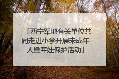 西宁军地有关单位共同走进小学开展未成年人暨军娃保护活动