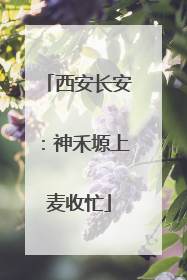 西安长安：神禾塬上麦收忙