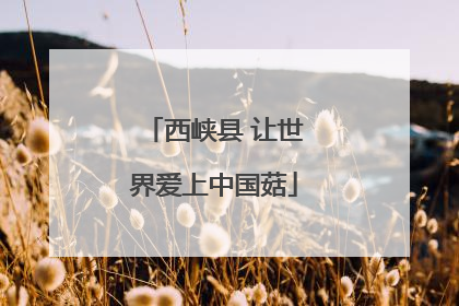 西峡县 让世界爱上中国菇