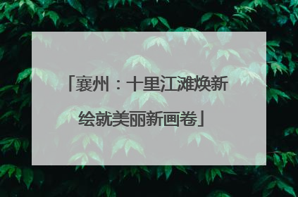 襄州：十里江滩焕新 绘就美丽新画卷