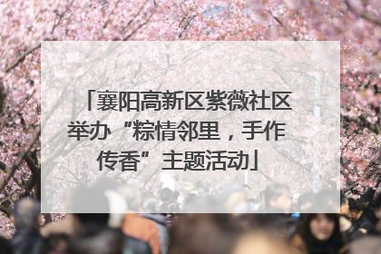 襄阳高新区紫薇社区举办“粽情邻里，手作传香”主题活动