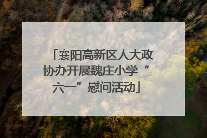 襄阳高新区人大政协办开展魏庄小学“六一”慰问活动