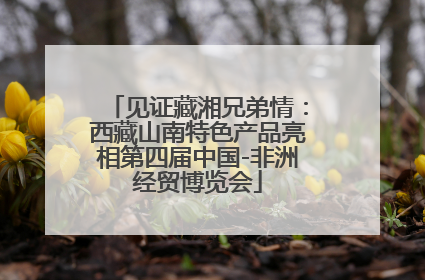 见证藏湘兄弟情：西藏山南特色产品亮相第四届中国-非洲经贸博览会