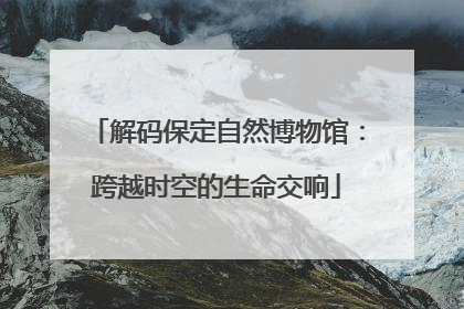 解码保定自然博物馆：跨越时空的生命交响