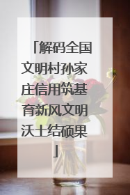 解码全国文明村孙家庄信用筑基育新风文明沃土结硕果