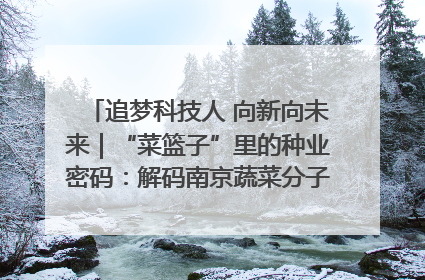 追梦科技人 向新向未来｜“菜篮子”里的种业密码：解码南京蔬菜分子育种的创新之路