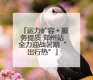 运力扩容＋服务提质 郑州站全力迎战暑期“出行热”