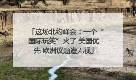 这场北约峰会：一个“国际玩笑”火了 美国优先 欧洲议题遭无视