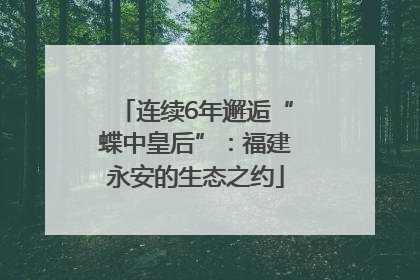 连续6年邂逅“蝶中皇后”：福建永安的生态之约
