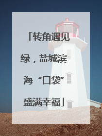 转角遇见绿，盐城滨海“口袋”盛满幸福