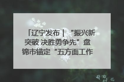 辽宁发布｜“振兴新突破 决胜勇争先”盘锦市锚定“五方面工作”力争全年地区生产总值增长5.5%左右