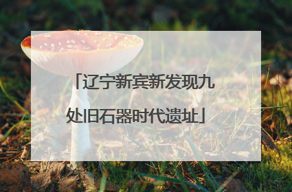 辽宁新宾新发现九处旧石器时代遗址