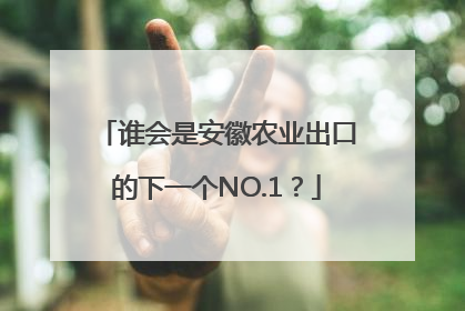 谁会是安徽农业出口的下一个NO.1？