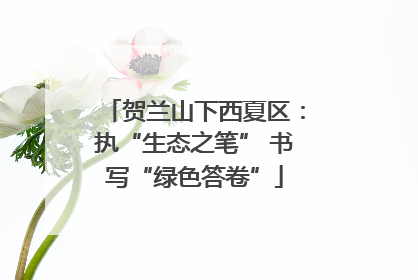 贺兰山下西夏区：执“生态之笔” 书写“绿色答卷”