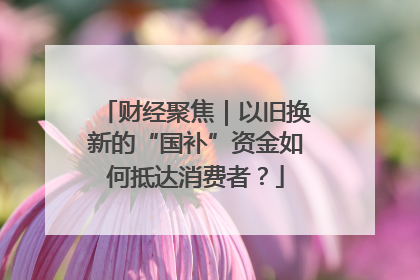 财经聚焦｜以旧换新的“国补”资金如何抵达消费者？