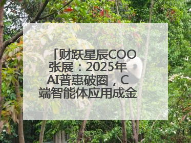 财跃星辰COO张展：2025年AI普惠破圈，C端智能体应用成金融转型关键