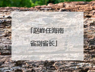 赵峰任海南省副省长