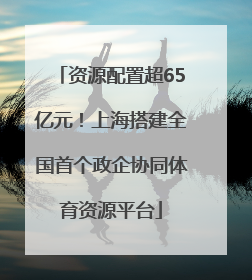 资源配置超65亿元！上海搭建全国首个政企协同体育资源平台