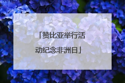 赞比亚举行活动纪念非洲日