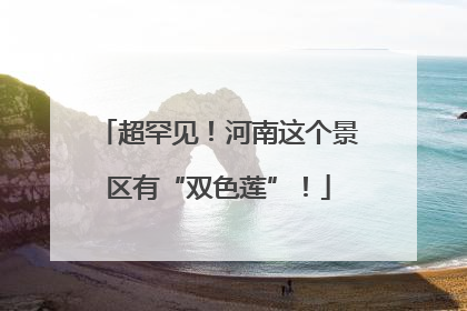 超罕见！河南这个景区有“双色莲”！