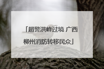 超警洪峰过境 广西柳州消防转移民众