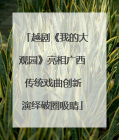 越剧《我的大观园》亮相广西 传统戏曲创新演绎破圈吸睛