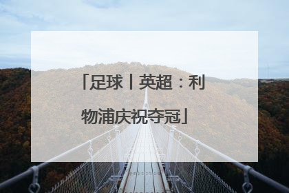 足球丨英超：利物浦庆祝夺冠