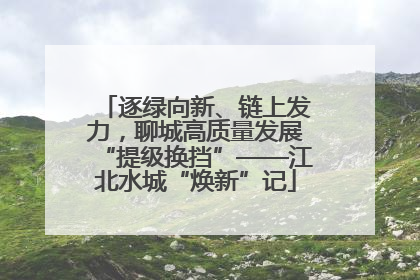 逐绿向新、链上发力，聊城高质量发展“提级换挡”——江北水城“焕新”记