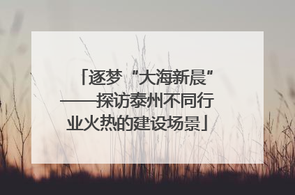 逐梦“大海新晨”——探访泰州不同行业火热的建设场景