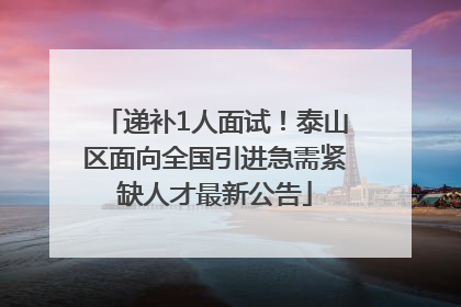 递补1人面试！泰山区面向全国引进急需紧缺人才最新公告