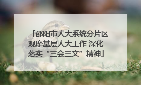 邵阳市人大系统分片区观摩基层人大工作 深化落实“三会三文”精神