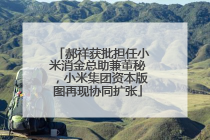 郝祥获批担任小米消金总助兼董秘，小米集团资本版图再现协同扩张