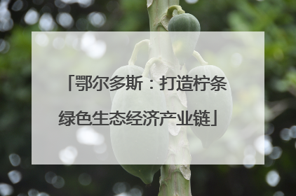 鄂尔多斯：打造柠条绿色生态经济产业链