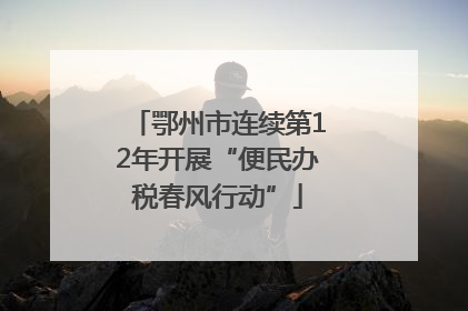 鄂州市连续第12年开展“便民办税春风行动”