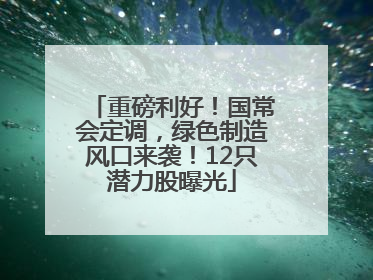 重磅利好！国常会定调，绿色制造风口来袭！12只潜力股曝光