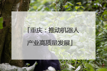 重庆：推动机器人产业高质量发展