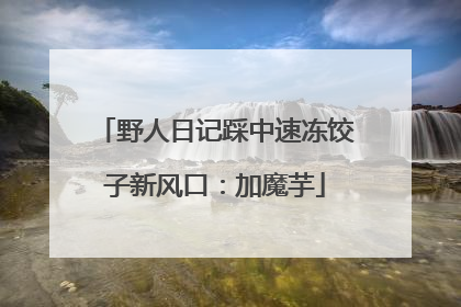 野人日记踩中速冻饺子新风口：加魔芋