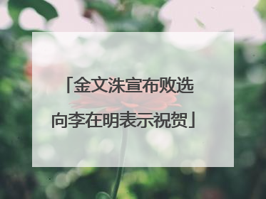 金文洙宣布败选 向李在明表示祝贺