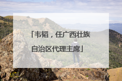 韦韬，任广西壮族自治区代理主席