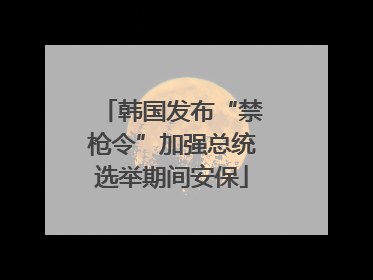 韩国发布“禁枪令”加强总统选举期间安保