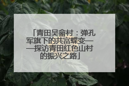 青田吴畲村：弹孔军旗下的共富蝶变——探访青田红色山村的振兴之路