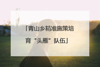 青山乡精准施策培育“头雁”队伍